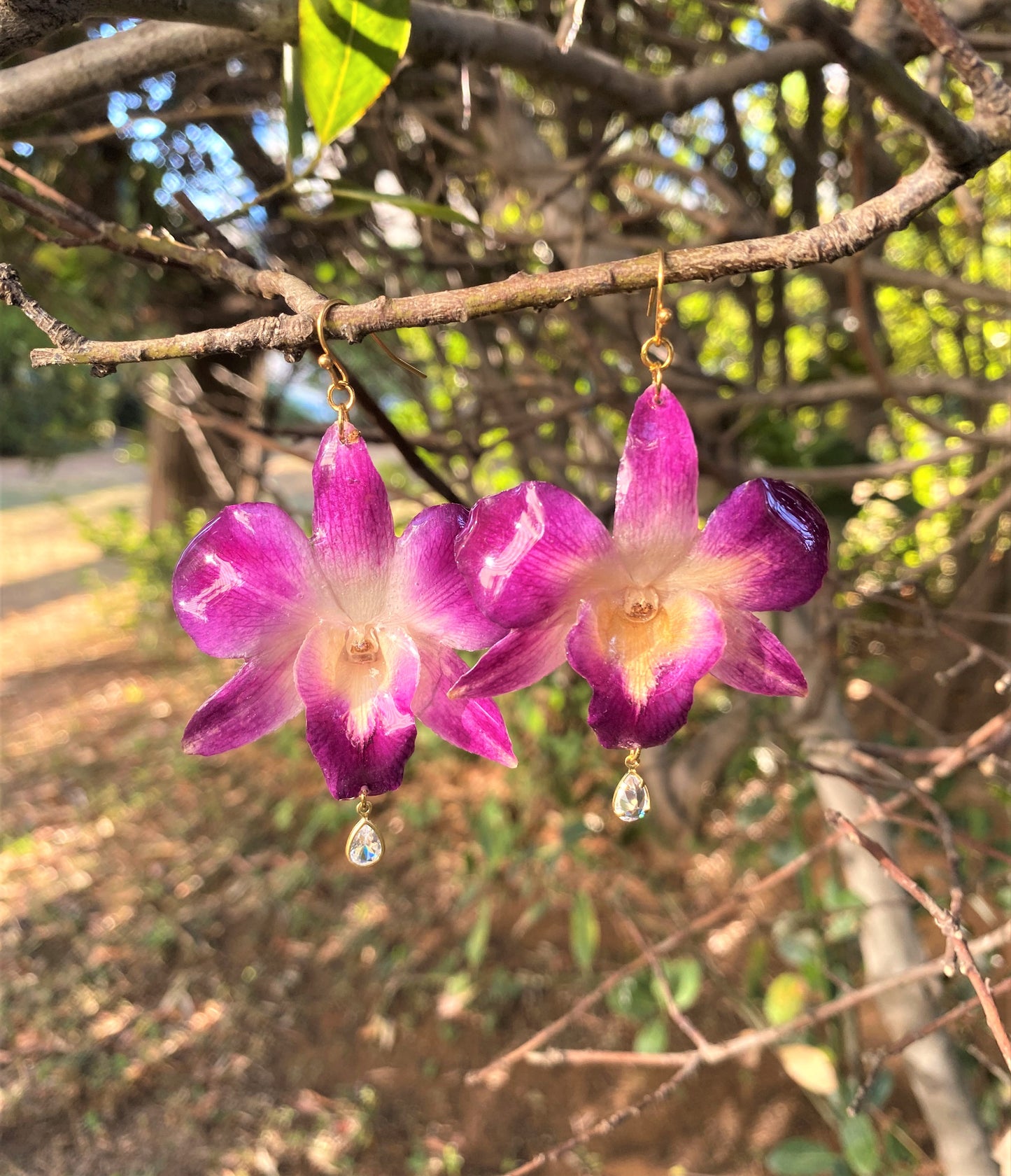 Σκουλαρίκια αληθινό λουλούδι ορχιδέας dendrobium sonia purple