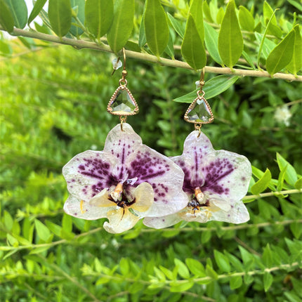 Real orchid earrings white - purple