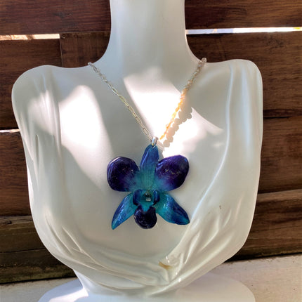 Pendant real orchid dendrobium sonia blue
