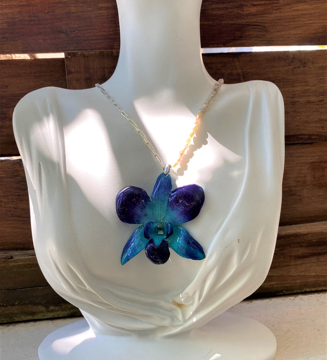 Μενταγιόν αληθινή ορχιδέα dendrobium sonia blue