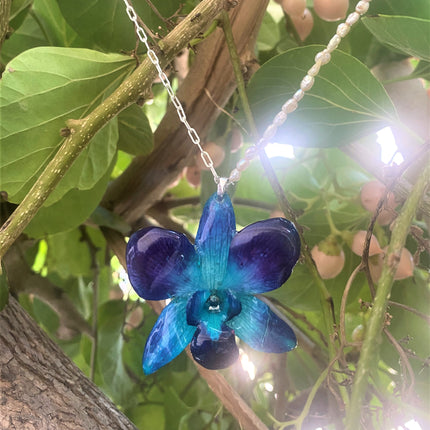 Pendant real orchid dendrobium sonia blue