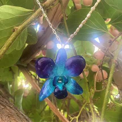 Pendant real orchid dendrobium sonia blue