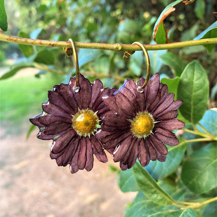 Real mini chrysanthemum earrings