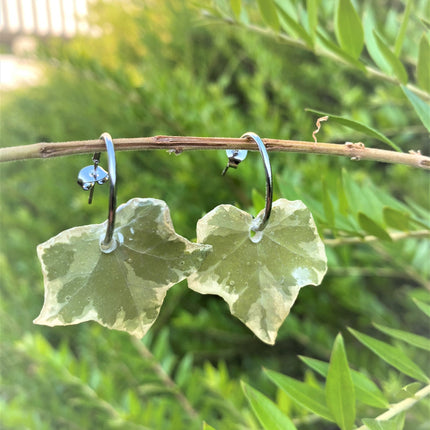 Real ivy leaf bags