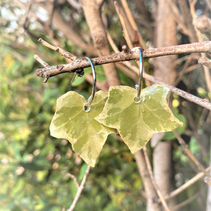Real ivy leaf bags