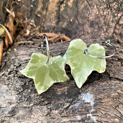Real ivy leaf bags