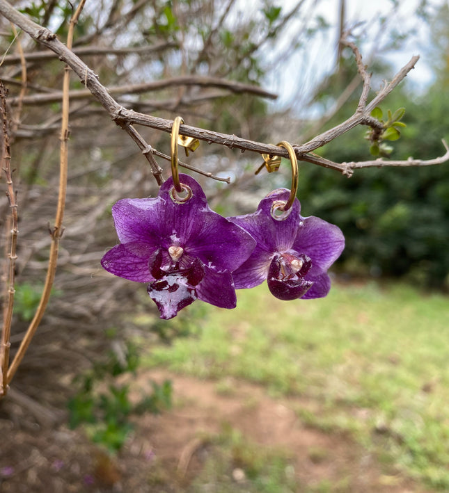 Σκουλαρίκια αληθινό λουλούδι ορχιδέας mini  Phalaenopsis