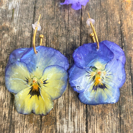 Real pansy flower earrings