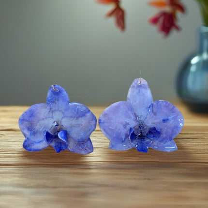 Earrings real orchid Phalaenopsis Purple
