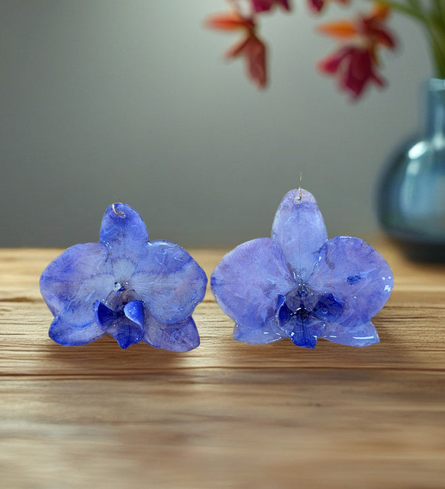 Σκουλαρίκια αληθινή ορχιδέα Phalaenopsis Μωβ