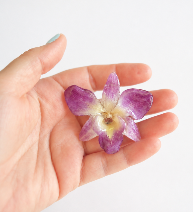 Καρφίτσα με Αληθινή Ορχιδέα Dendrobium blue & purple