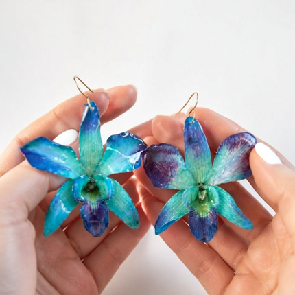 Σκουλαρίκια αληθινό λουλούδι ορχιδέας dendrobium sonia blue
