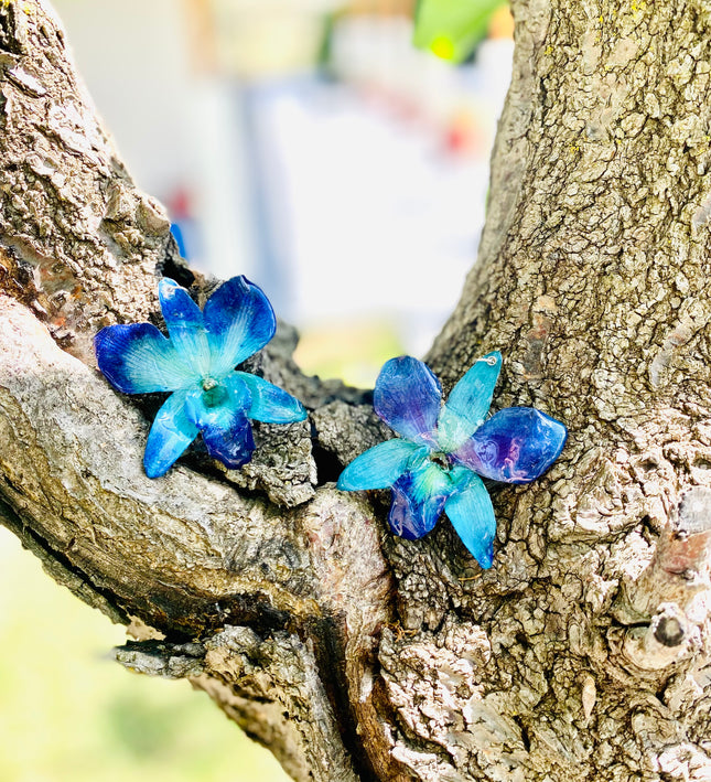 Σκουλαρίκια αληθινό λουλούδι ορχιδέας dendrobium sonia blue