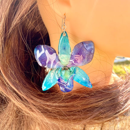 Earrings real orchid flower dendrobium sonia blue