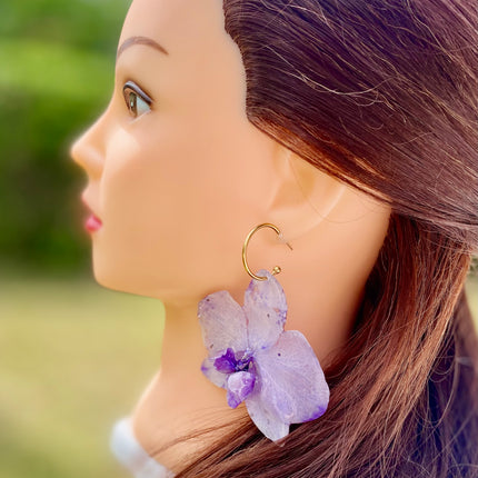 Σκουλαρίκια αληθινή ορχιδέα Phalaenopsis Μωβ