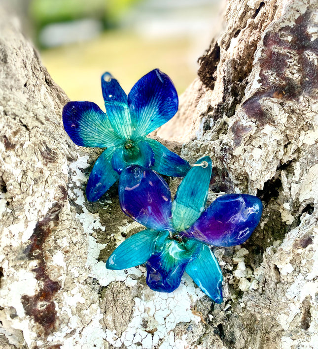 Σκουλαρίκια αληθινό λουλούδι ορχιδέας dendrobium sonia blue