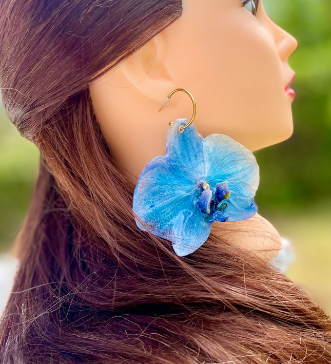 Σκουλαρίκια αληθινό λουλούδι ορχιδέας Phalaenopsis μπλέ