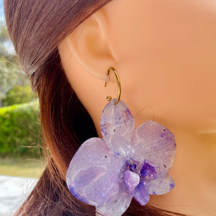 Σκουλαρίκια αληθινή ορχιδέα Phalaenopsis Μωβ