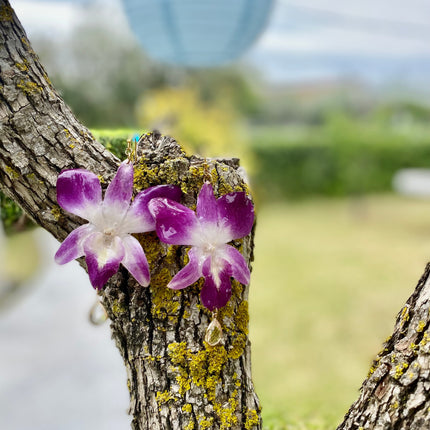 Earrings real orchid flower dendrobium sonia purple
