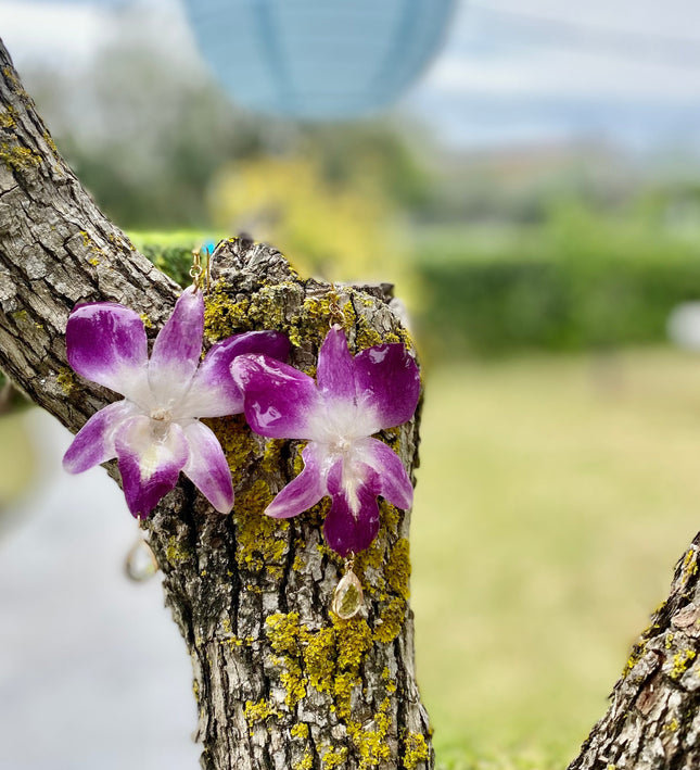 Σκουλαρίκια αληθινό λουλούδι ορχιδέας dendrobium sonia purple
