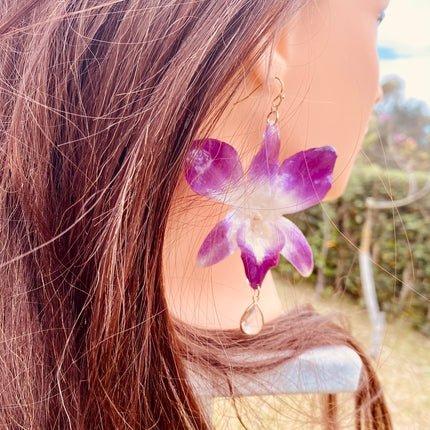 Earrings real orchid flower dendrobium sonia purple