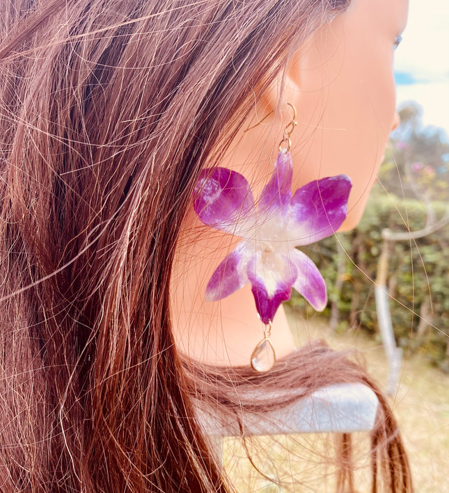 Σκουλαρίκια αληθινό λουλούδι ορχιδέας dendrobium sonia purple