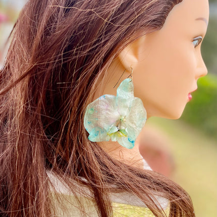 Σκουλαρίκια αληθινή ορχιδεά Phalaenopsis wonder of nature