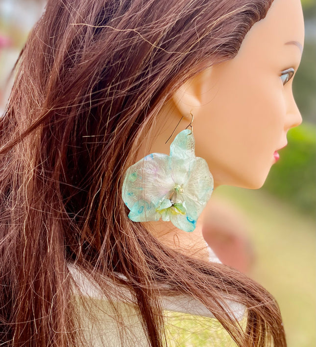 Σκουλαρίκια αληθινή ορχιδεά Phalaenopsis wonder of nature