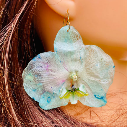 Σκουλαρίκια αληθινή ορχιδεά Phalaenopsis wonder of nature