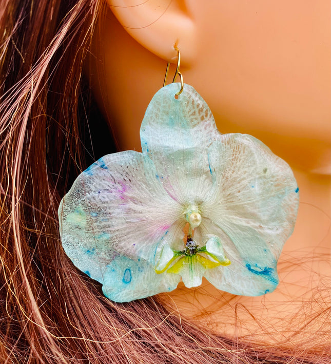 Σκουλαρίκια αληθινή ορχιδεά Phalaenopsis wonder of nature