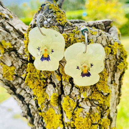 Real pansy flower earrings
