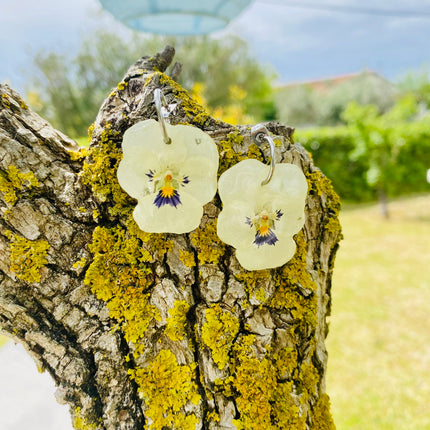 Real pansy flower earrings