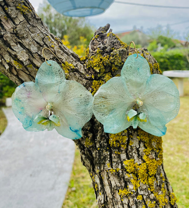 Σκουλαρίκια αληθινή ορχιδεά Phalaenopsis wonder of nature