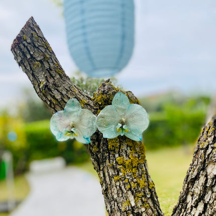 Σκουλαρίκια αληθινή ορχιδεά Phalaenopsis wonder of nature