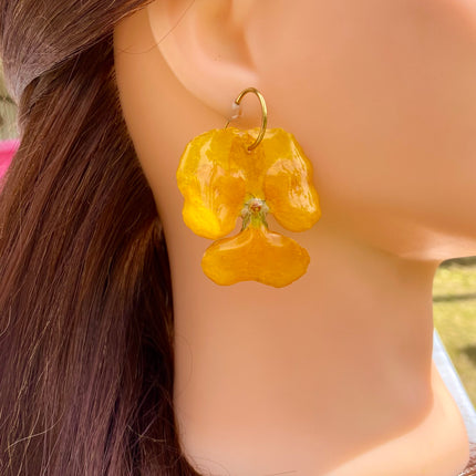 Real pansy flower earrings