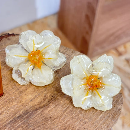 Earrings with real double Narcissus